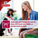 CHIEN ADULT MEDIUM POULET 2.5KG - Hill's de Hill's - croquette pour chien et chat dans Hill's pour chiens
