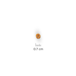chien Adult Stomach & Skin Small Poulet 1.5k - H de Hill's - croquette pour chien et chat dans Hill's pour chiens