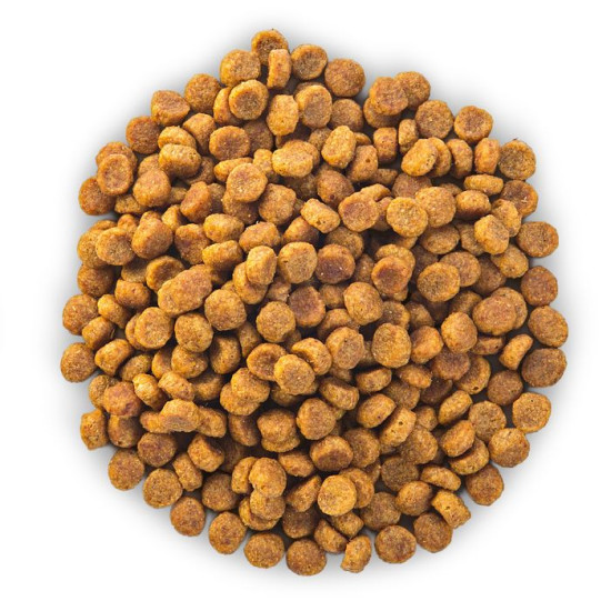 chien Adult Stomach & Skin Small Poulet 1.5k - H de Hill's - croquette pour chien et chat dans Hill's pour chiens