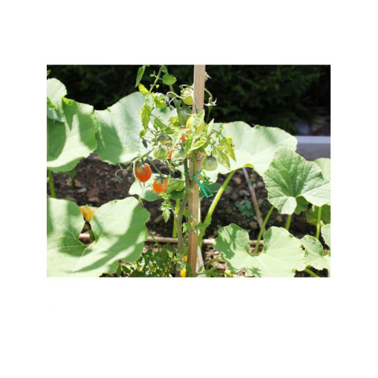 LIEN ARME PLASTIQUE 50M de Jardinerie Bordeaux Libourne Gironde dans Ficelle et lien pour le jardin