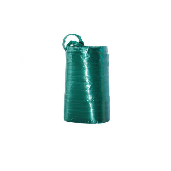 RAPHIA SYNT. VERT 100G de Jardinerie Bordeaux Libourne Gironde dans Ficelle et lien pour le jardin