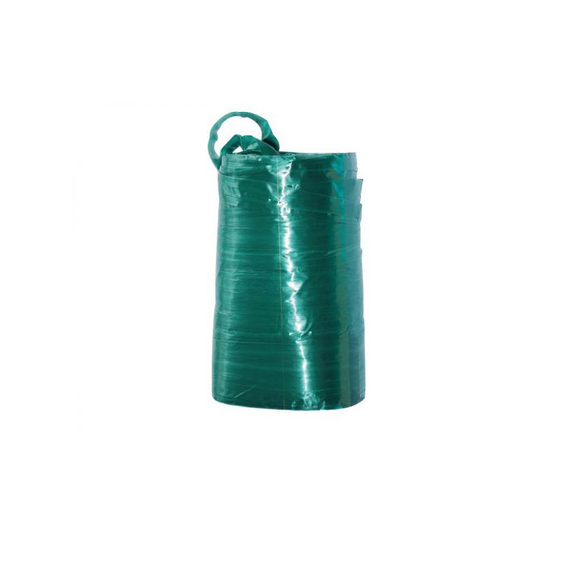 RAPHIA SYNT. VERT 100G de Jardinerie Bordeaux Libourne Gironde dans Ficelle et lien pour le jardin