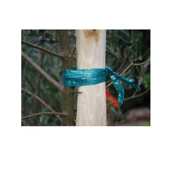 RAPHIA SYNT. VERT 100G de Jardinerie Bordeaux Libourne Gironde dans Ficelle et lien pour le jardin
