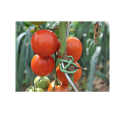LIEN FLEXIBLE 5M de Jardinerie Bordeaux Libourne Gironde dans Ficelle et lien pour le jardin