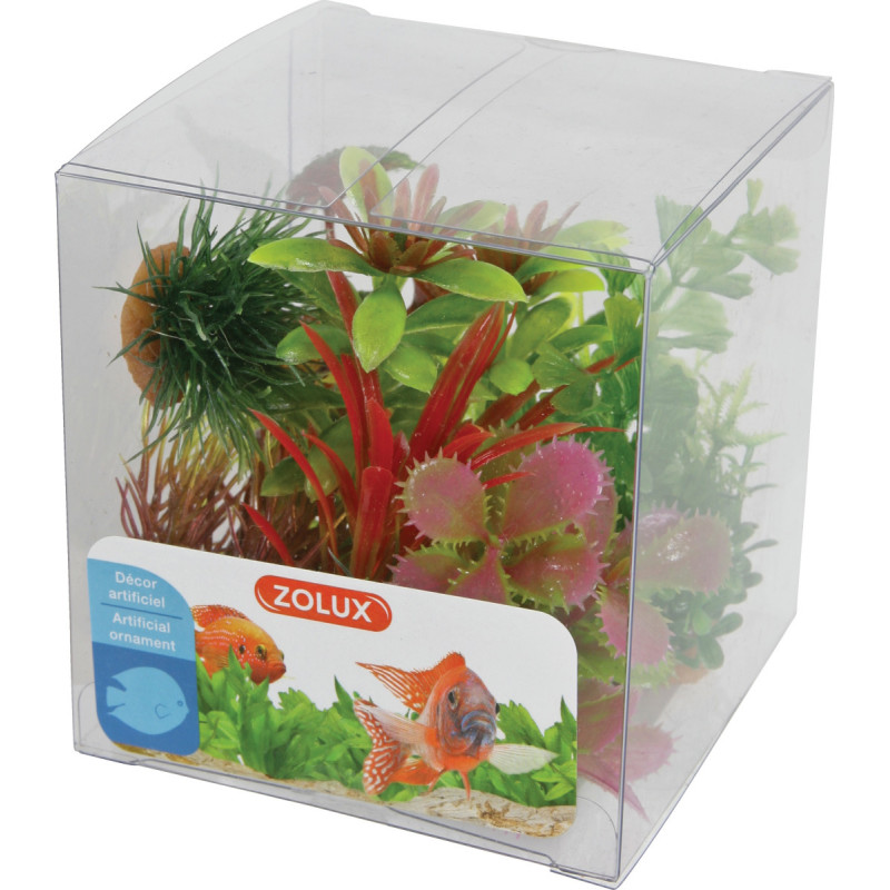 DECOR PLANT BOIT MIX X6 MOD1 de Zolux - Produit pour animaux dans Plantes d'aquarium