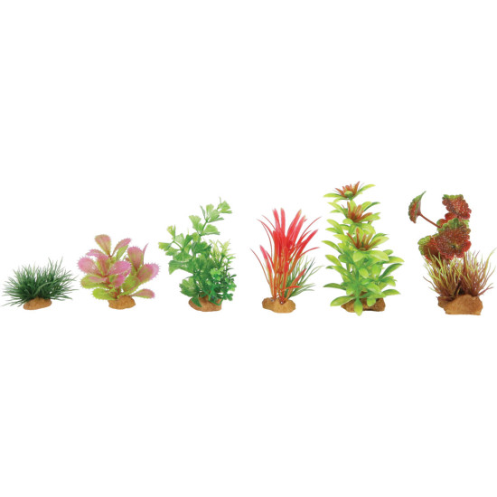 DECOR PLANT BOIT MIX X6 MOD1 de Zolux - Produit pour animaux dans Plantes d'aquarium