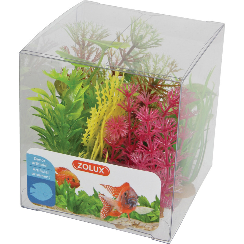 DECOR PLANT BOIT MIX X6 MOD4 de Zolux - Produit pour animaux dans Plantes d'aquarium