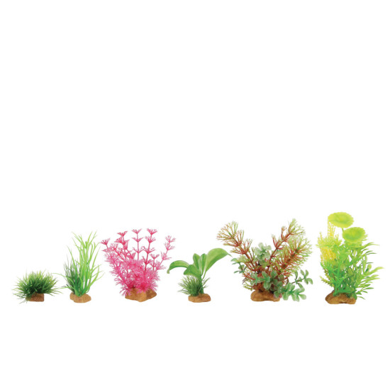DECOR PLANT BOIT MIX X6 MOD4 de Zolux - Produit pour animaux dans Plantes d'aquarium