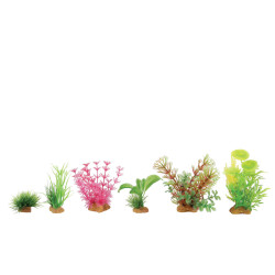 DECOR PLANT BOIT MIX X6 MOD4 de Zolux - Produit pour animaux dans Plantes d'aquarium