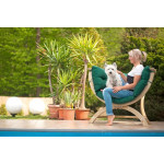 Siena Uno Verde Amazonas de Amazonas - les Hamacs dans 💺 Fauteuil pour l'exterieur