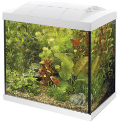 Superfish start 50 tropical kit blanc de Superfish - Aquadistri - accessoires pour aquarium et bassin dans Aquariums 60 à 150...