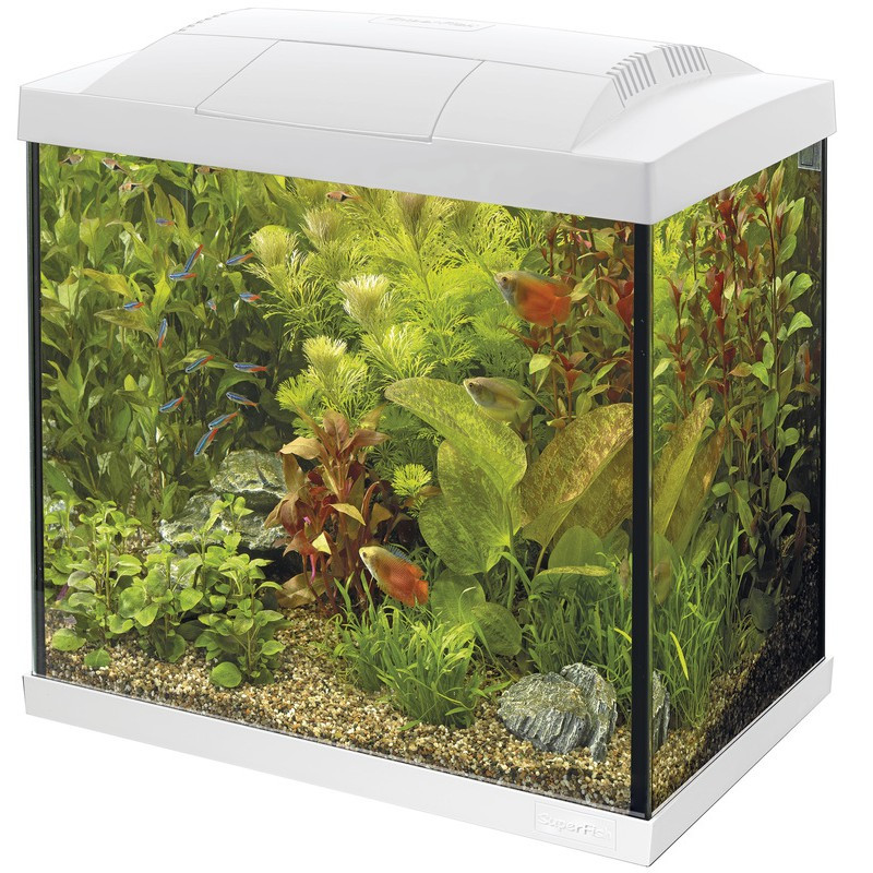 Superfish start 50 tropical kit blanc de Superfish - Aquadistri - accessoires pour aquarium et bassin dans Aquariums 60 à 150...