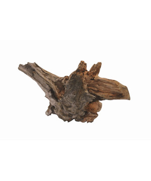 RACINE POUR AQUARIUM EN BOIS XS de Superfish - Aquadistri - accessoires pour aquarium et bassin dans Plantes d'aquarium