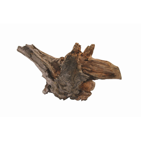 RACINE POUR AQUARIUM EN BOIS XS de Superfish - Aquadistri - accessoires pour aquarium et bassin dans Plantes d'aquarium