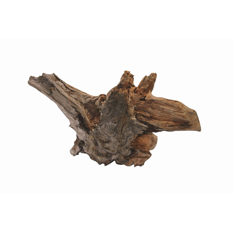 RACINE POUR AQUARIUM EN BOIS S de Superfish - Aquadistri - accessoires pour aquarium et bassin dans Plantes d'aquarium