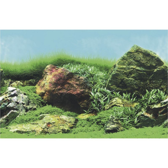 DECO POSTER C2 60X49 CM de Superfish - Aquadistri - accessoires pour aquarium et bassin dans Posters pour aquariums