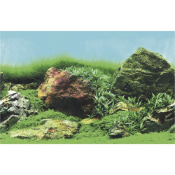 DECO POSTER C3 100X49 CM de Superfish - Aquadistri - accessoires pour aquarium et bassin dans Posters pour aquariums