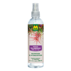 Engrais Foliaire Tillandsias 250 Ml Masso Garden de Masso - Engrais bio et soin des plantes dans Engrais Foliaire pour plantes