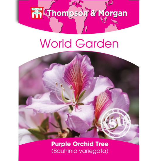 ARBRE ORCHIDEE - BAUHINIA VARIEGATA - sachet de de Thompson et Morgan - Tout pour le jardin dans Graines de fleurs exotiques