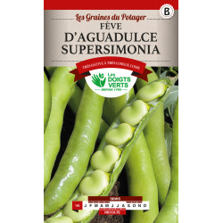 Feve Agualduce 250G Tres Lg Cosses -graines de Les Doigts Verts - graines de Gironde à Bordeaux dans Graines de Feves