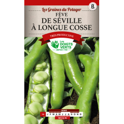 Feves de seville longues cosses - graines 250g - les doigts verts de Les Doigts Verts - graines de Gironde à Bordeaux dans Gr...