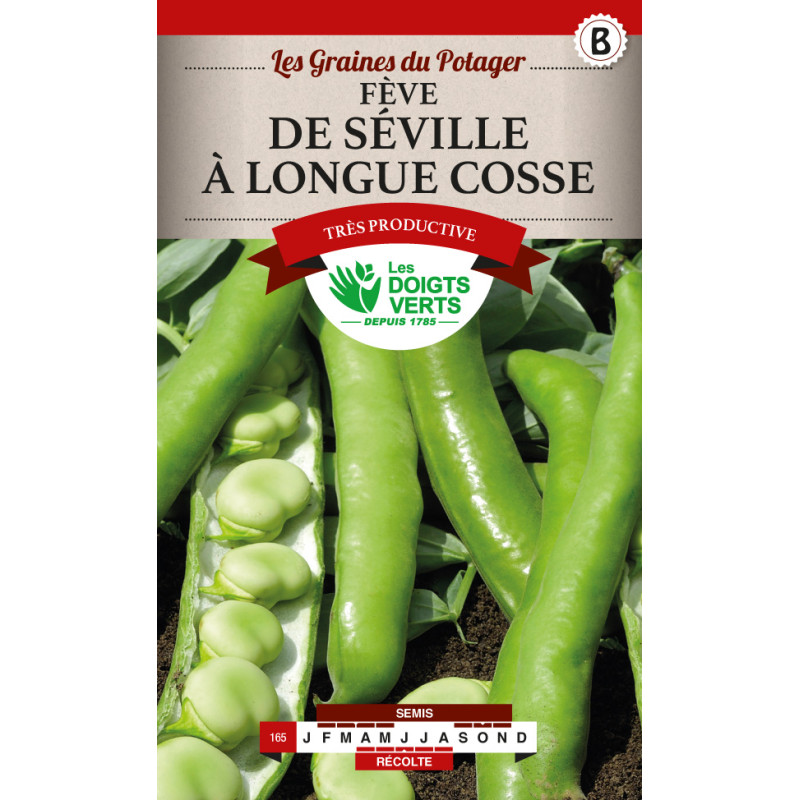 Feves de seville longues cosses - graines 250g - les doigts verts de Les Doigts Verts - graines de Gironde à Bordeaux dans Gr...
