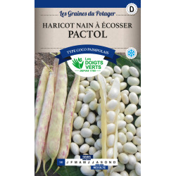 Haricot Nain Pactol Coco Paimpolais 220g -graine de Les Doigts Verts - graines de Gironde à Bordeaux dans Graines de Haricot