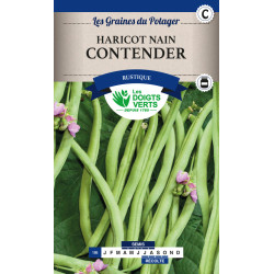 Haricot Nain Contender Mgt 250g -graines de Les Doigts Verts - graines de Gironde à Bordeaux dans Graines de Haricot