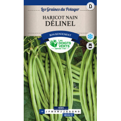 Haricot Nain Delinel 50G -graines de Les Doigts Verts - graines de Gironde à Bordeaux dans Graines de Haricot