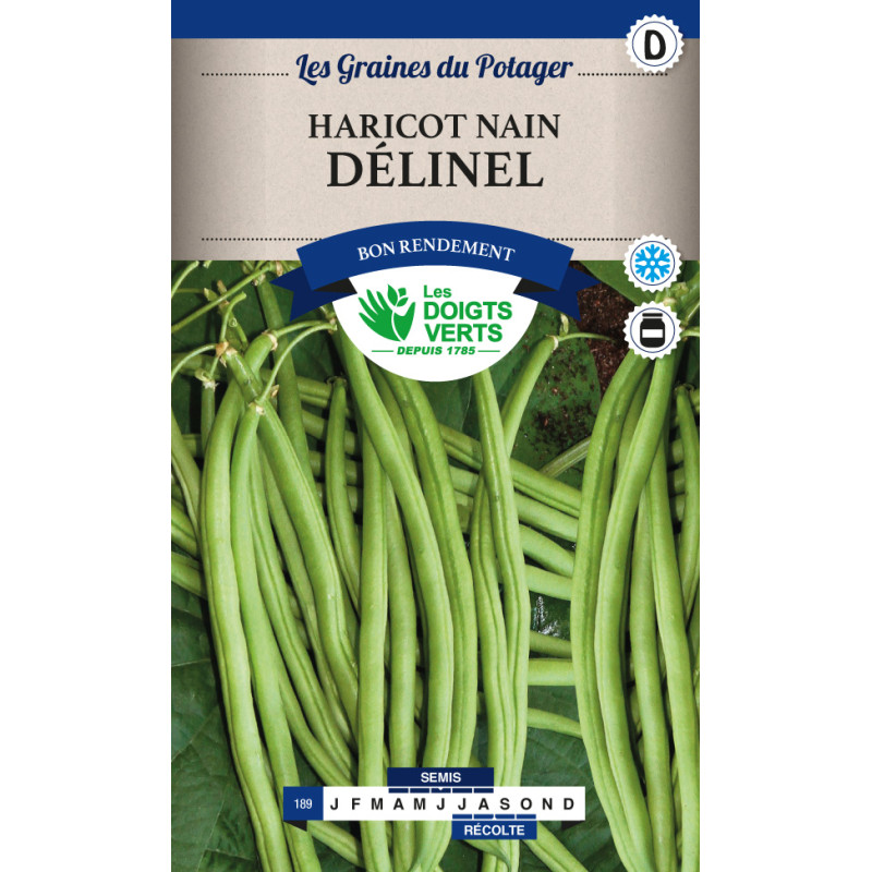 Haricot Nain Delinel 50G -graines de Les Doigts Verts - graines de Gironde à Bordeaux dans Graines de Haricot