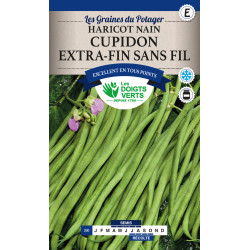 Haricot Nain Cupidon 300g -graines de Les Doigts Verts - graines de Gironde à Bordeaux dans Graines de Haricot