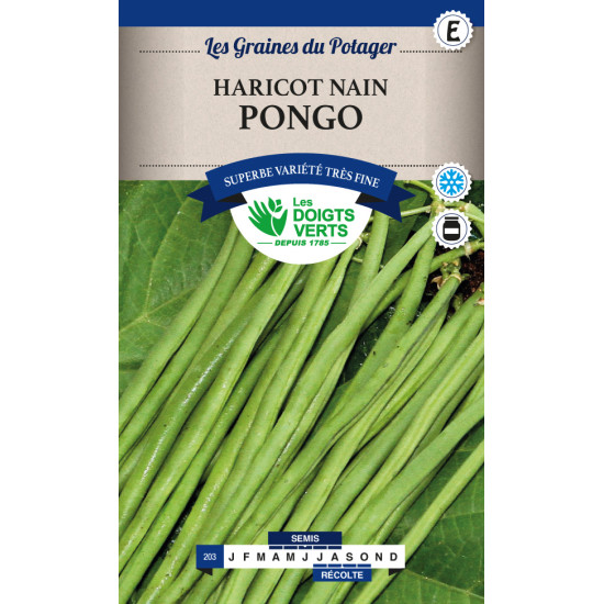 Haricot Nain Pongo 150G -graines de Les Doigts Verts - graines de Gironde à Bordeaux dans Graines de Haricot
