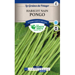 Haricot Nain Pongo 150G -graines de Les Doigts Verts - graines de Gironde à Bordeaux dans Graines de Haricot