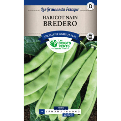 Haricot Nain Bredero 200g -graines de Les Doigts Verts - graines de Gironde à Bordeaux dans Graines de Haricot