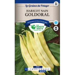 Haricot Nain Goldoral 200G -graines de Les Doigts Verts - graines de Gironde à Bordeaux dans Graines de Haricot