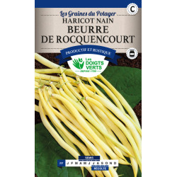 Haricot Nain Beurre Rocquencourt 200g -graines de Les Doigts Verts - graines de Gironde à Bordeaux dans Graines de Haricot