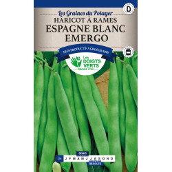 Haricot Rame Espagne Blanc 200g -graines de Les Doigts Verts - graines de Gironde à Bordeaux dans Graines de Haricot