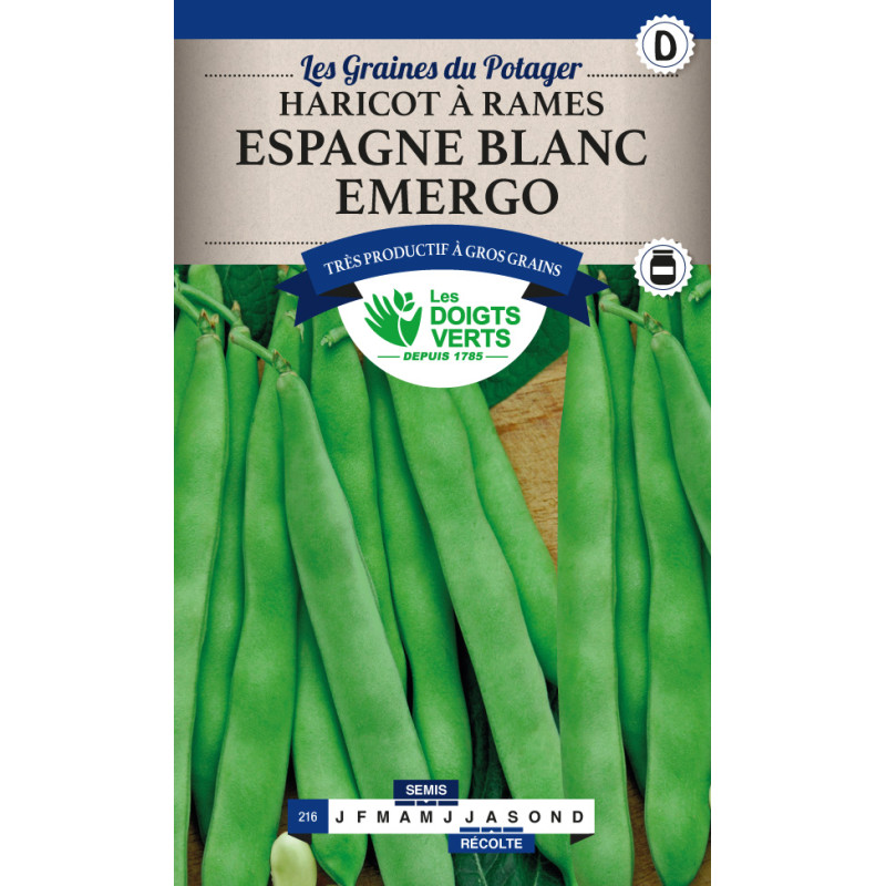 Haricot Rame Espagne Blanc 200g -graines de Les Doigts Verts - graines de Gironde à Bordeaux dans Graines de Haricot