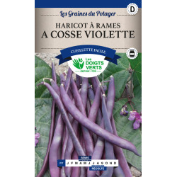 Haricot Rame A Cosses Violettes 200g -graines de Les Doigts Verts - graines de Gironde à Bordeaux dans Graines de Haricot