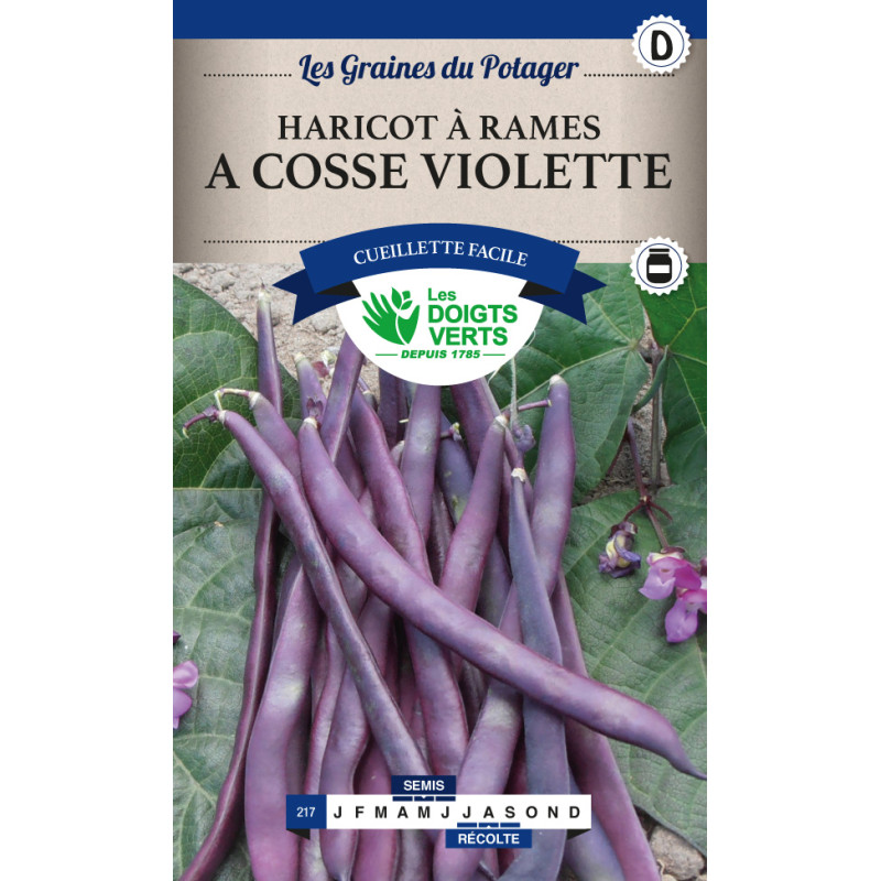Haricot Rame A Cosses Violettes 200g -graines de Les Doigts Verts - graines de Gironde à Bordeaux dans Graines de Haricot
