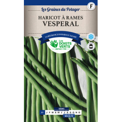 Haricot Rame Vesperal 100G -graines de Les Doigts Verts - graines de Gironde à Bordeaux dans Graines de Haricot