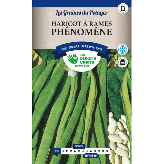 Haricot Rame Phenomene 200g -graines de Les Doigts Verts - graines de Gironde à Bordeaux dans Graines de Haricot