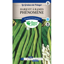 Haricot Rame Phenomene 200g -graines de Les Doigts Verts - graines de Gironde à Bordeaux dans Graines de Haricot