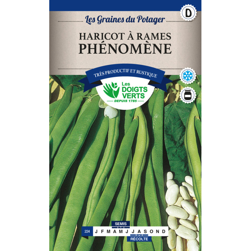 Haricot Rame Phenomene 200g -graines de Les Doigts Verts - graines de Gironde à Bordeaux dans Graines de Haricot