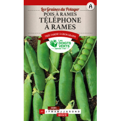 Pois Rame Telephone 200g -graines de Les Doigts Verts - graines de Gironde à Bordeaux dans Graines de Pois