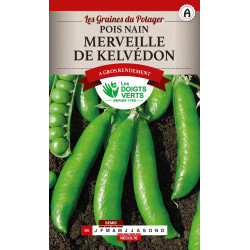 Pois Nain Merveille Kelvedon 220g -graines de Les Doigts Verts - graines de Gironde à Bordeaux dans Graines de Pois