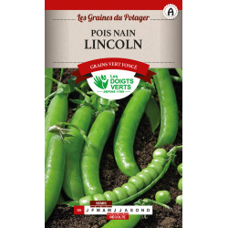 Pois Nain Lincoln Sans Rival 220g -graines de Les Doigts Verts - graines de Gironde à Bordeaux dans Graines de Pois