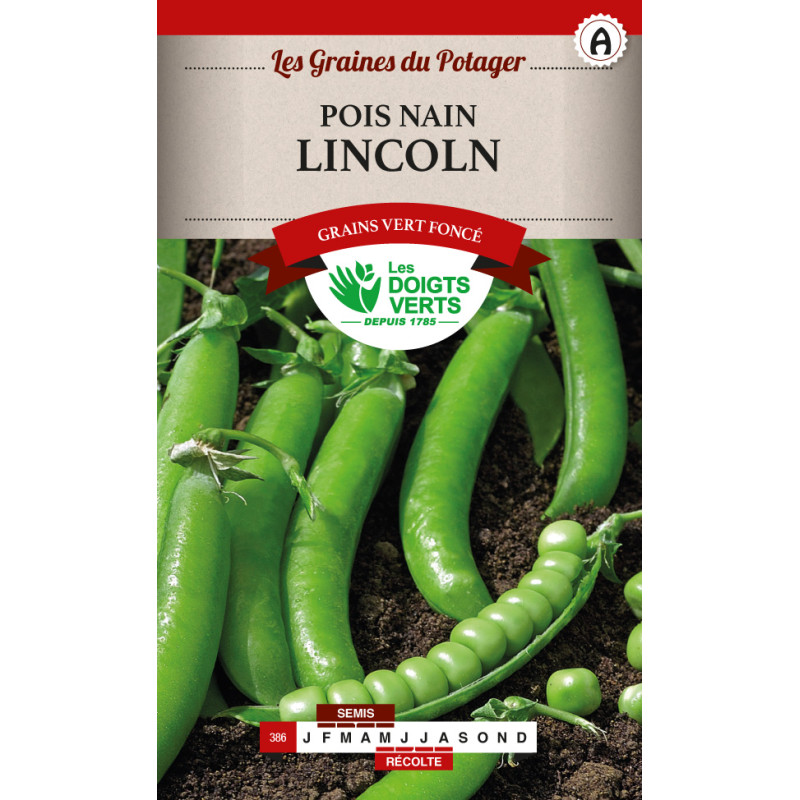 Pois Nain Lincoln Sans Rival 220g -graines de Les Doigts Verts - graines de Gironde à Bordeaux dans Graines de Pois