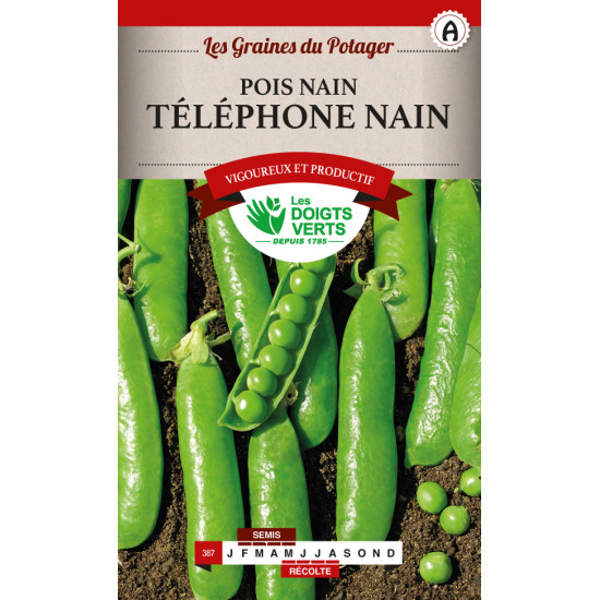 Pois Nain Telephone Nain 200g -graines de Les Doigts Verts - graines de Gironde à Bordeaux dans Graines de Pois
