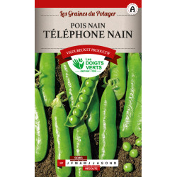 Pois Nain Telephone Nain 200g -graines de Les Doigts Verts - graines de Gironde à Bordeaux dans Graines de Pois